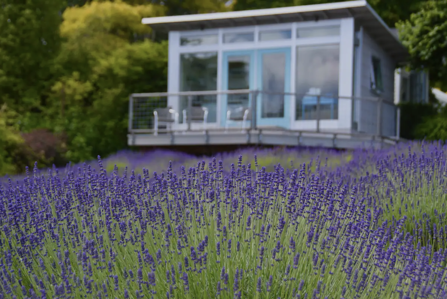 Image of Betty's Blue - A Room with a View