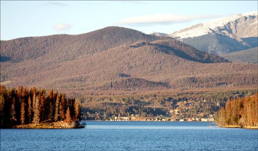 Colorado Beetle Kill Pine Trees & Lake