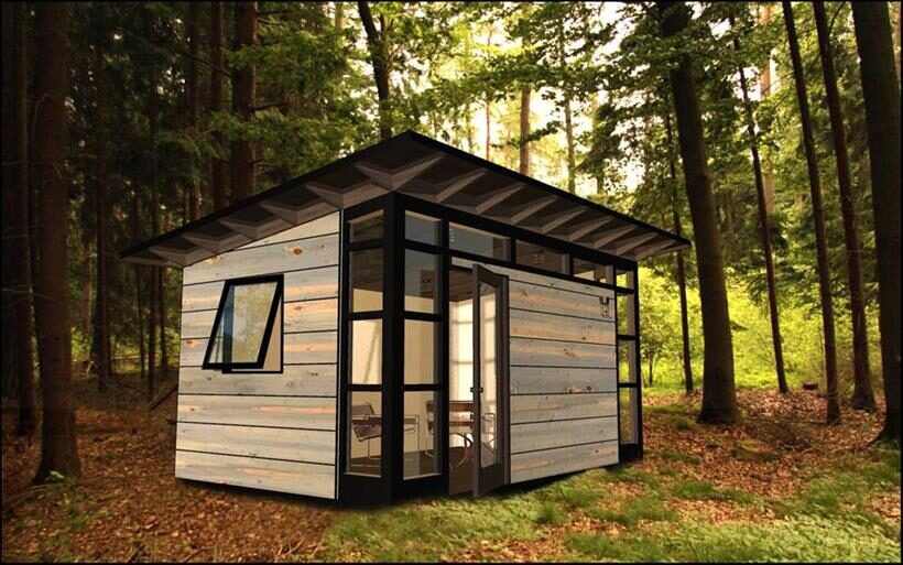 Studio Shed with Colorado Beetle-Kill Pine Siding