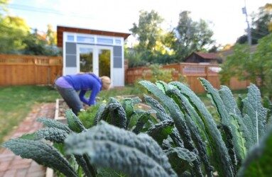 Studio Shed - Growing Season is almost here