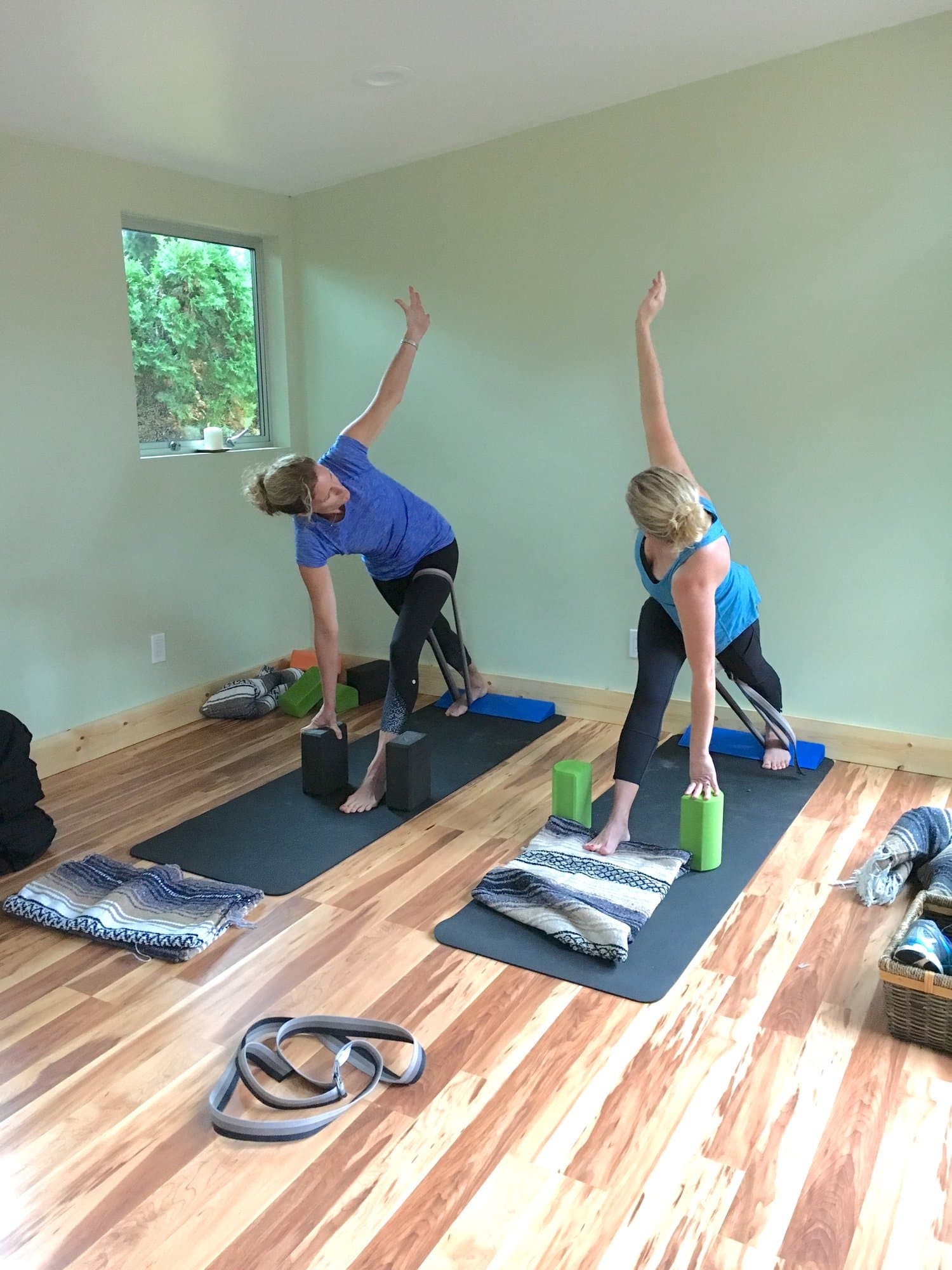 Backyard Home Yoga Studios and Gyms Studio Shed